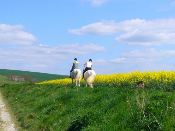 Balades et randonnées à cheval et poney - Tarbes