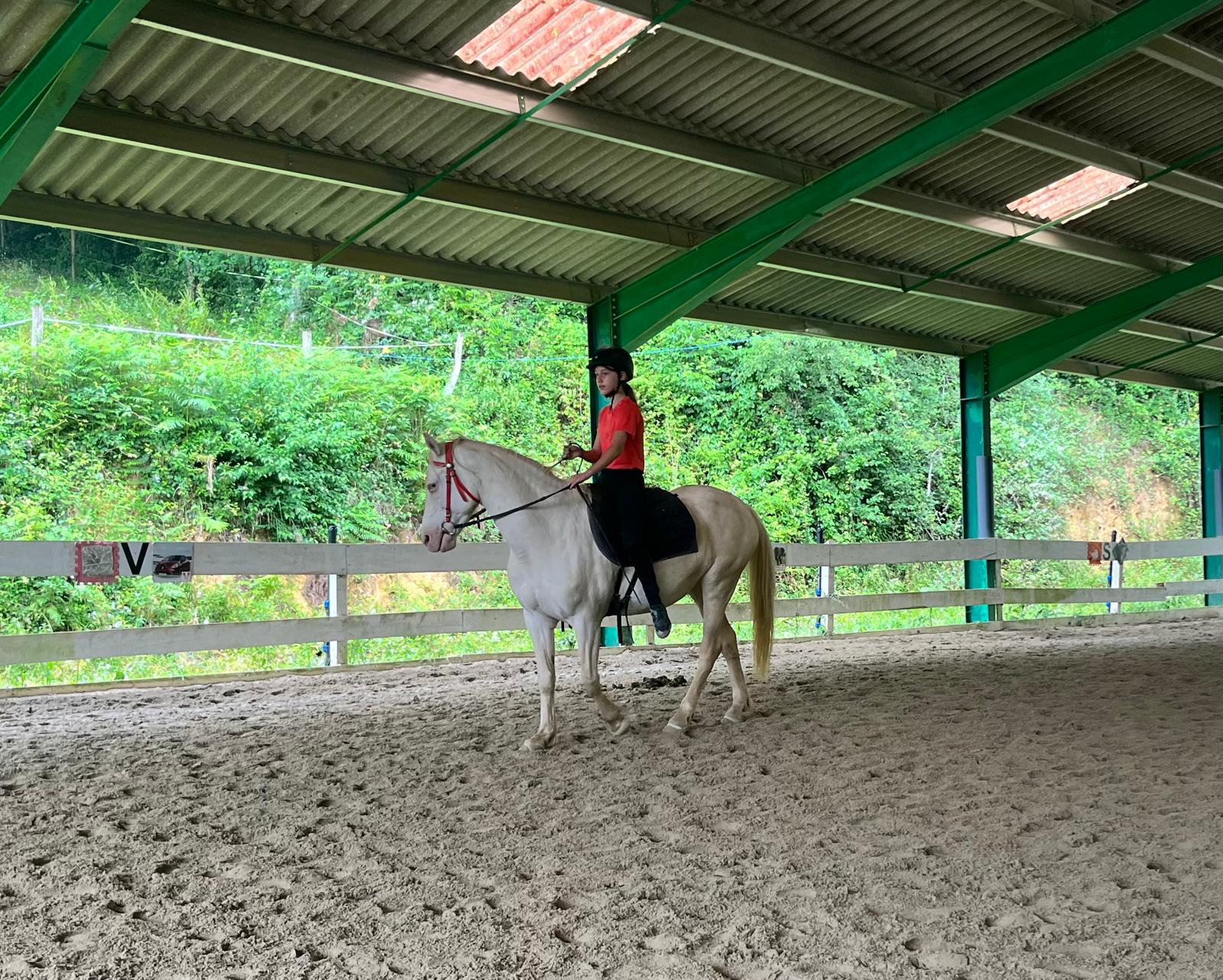 Cla'Haras Tarbes - Cours équitation