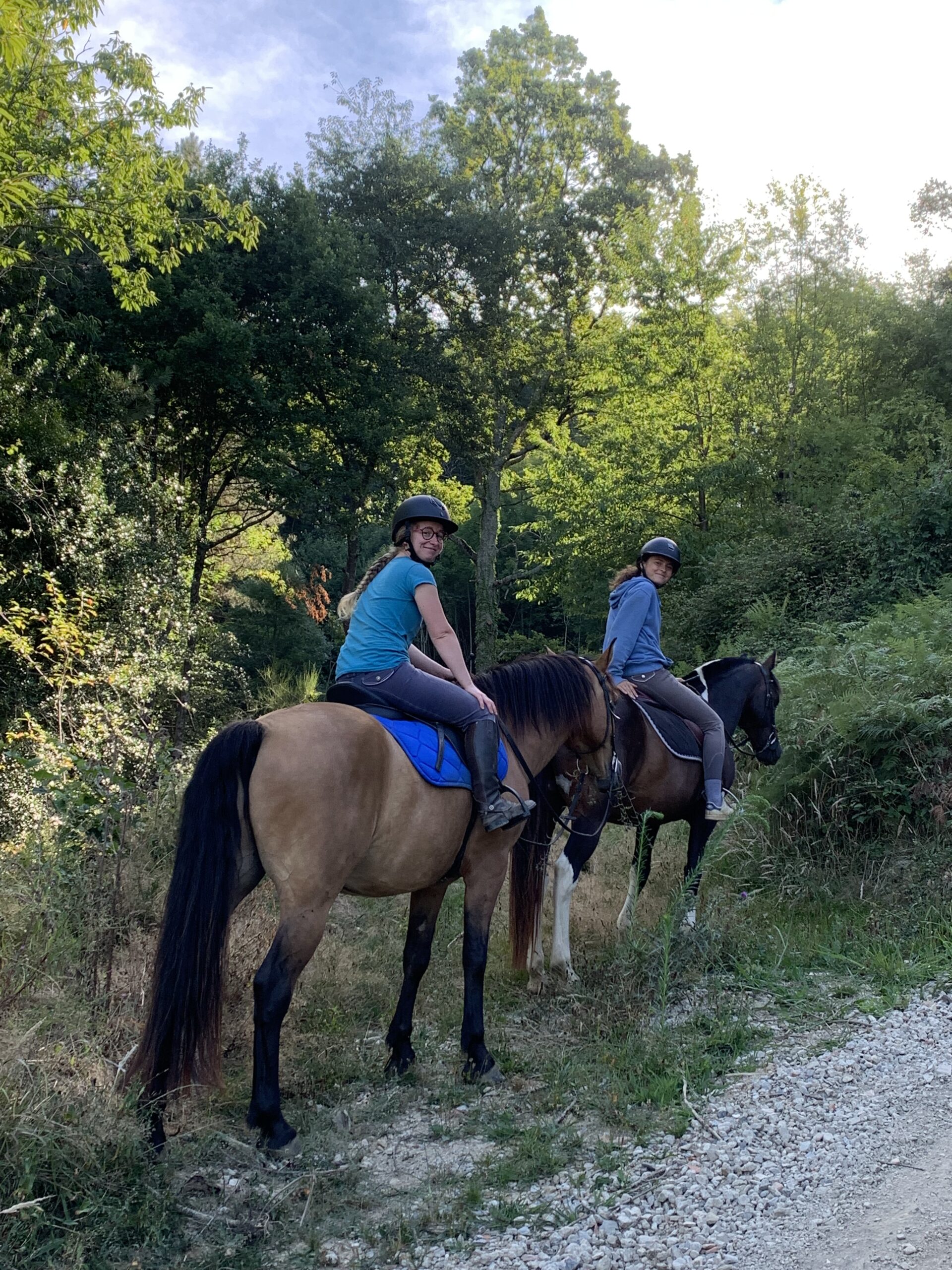 Cla'Haras Tarbes - Cours équitation