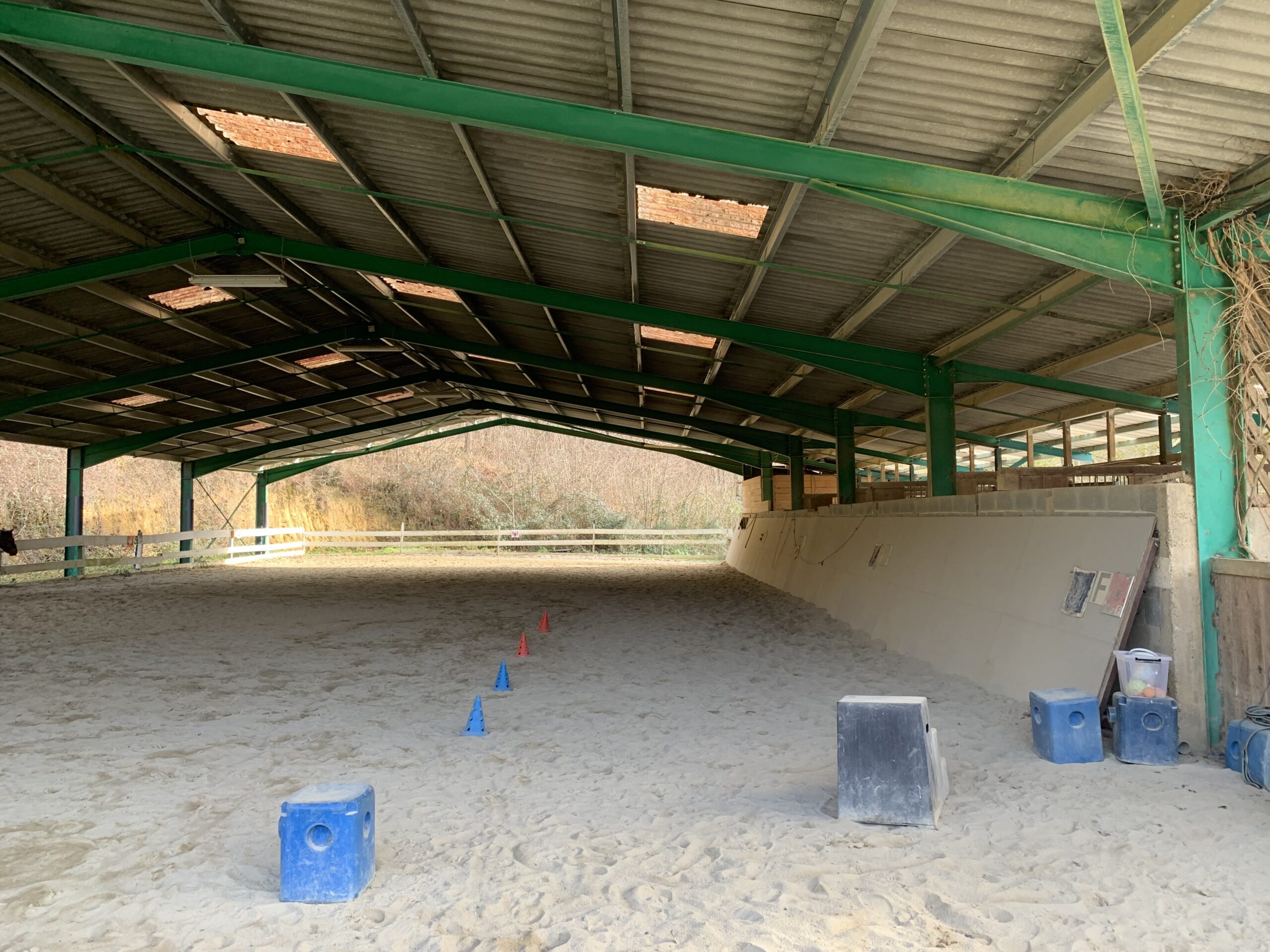 Cla'Haras Tarbes - Hippothérapie