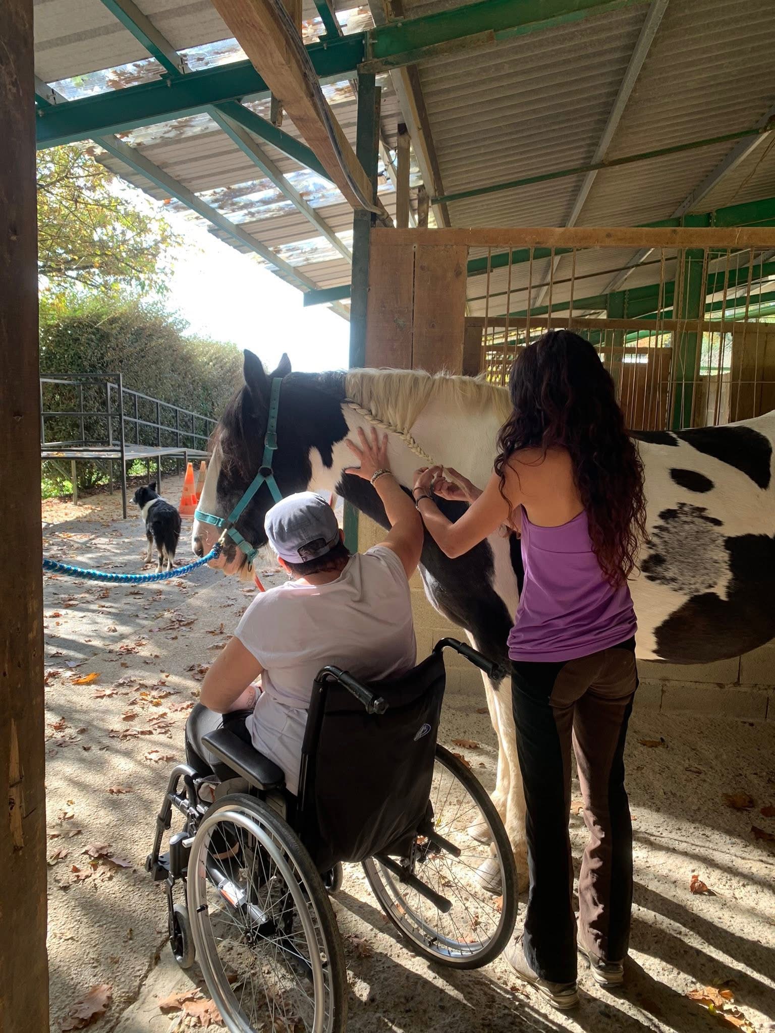 Cla'Haras Tarbes - Hippothérapie